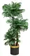 Искусственное дерево Cilgin A006B Branched Palms 2м