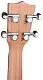 Ukulele V-Tone UK23, lemn