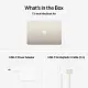 Ноутбук Apple MacBook Air MW103RU/A (13.6"/M4/16GB/512GB), золотой