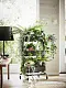 Искусственное растение IKEA Fejka interior/exterior 15см