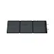 Panou solar EcoFlow EFSOLAR160W-N, negru pe tehnoparc.md Panou solar EcoFlow EFSOLAR160W-N, negru