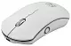 Mouse Qumo Office Luna M74, alb