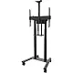 Suport TV de podea Neomounts FL55-875BL1, negru