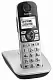 Telefon fără fir Panasonic KX-TGE510RUS, argintiu