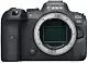 Aparat foto Canon EOS R6 Body, negru