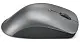 Mouse Lenovo Professional 4Y51J62544, gri