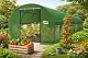 Парник (теплица) GardenLine TUN8009 10x4x2m