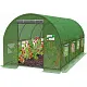 Парник (теплица) GardenLine TUN5613 6x3x2m