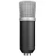 Microfon Trust GXT 252, negru/argintiu