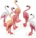 Set jucării Playmobil Flock of Flamingos