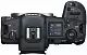 Системный фотоаппарат Canon EOS R5 Body V2.4, черный
