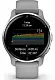 Smartwatch Garmin Venu 2, Plus Powerder/Silver