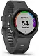 Умные часы Garmin Forerunner 245, серый