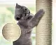 Когтеточка для кошек Costway PS7435HS, темно-серый/бежевый