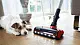 Вертикальный пылесос Bosch BCS711PET, черный/красный