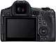 Системный фотоаппарат Canon EOS R5 Mark II Body V5 GHz, черный