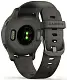 Smartwatch Garmin Venu 2S, gri