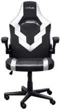 Геймерское кресло Trust GXT 703W RIYE, черный/белый
