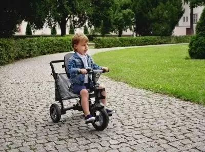 Детский велосипед Lionelo Tris, серый