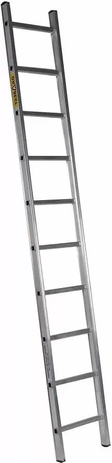 Лестница SDGroup 1x11 2.98м, серебристый