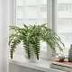 Искусственное растение IKEA Fejka interior/exterior 15см