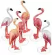 Игровой набор Playmobil Flock of Flamingos