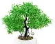 Искусственное дерево Cilgin CLG634DUN Basil 28см